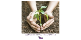 FX Pedal Planet Online Store: A Greener Path Forward