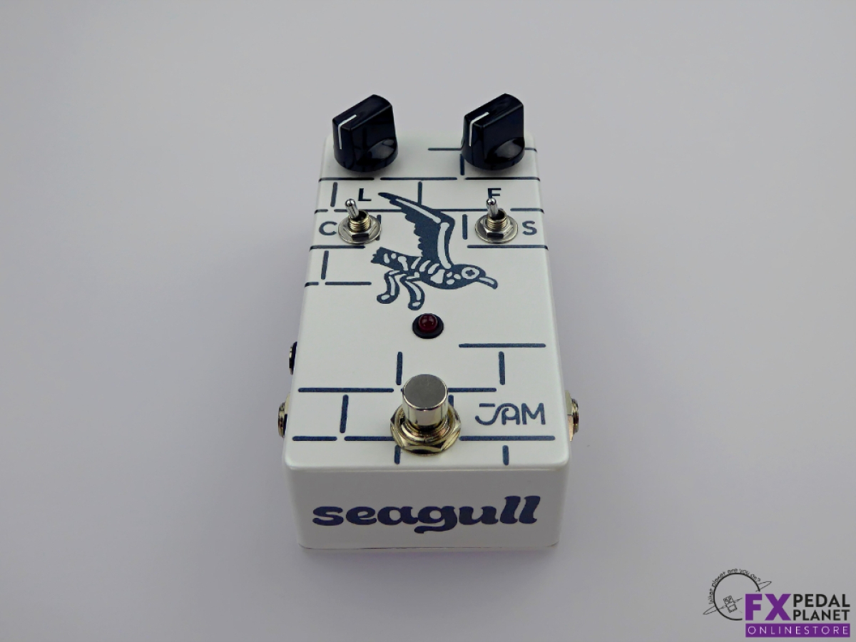 Seagull